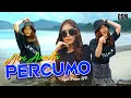 Dj Percumo - Alvi Ananta I Official Music Video