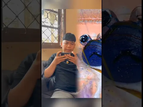 #ompedvisual #shortvideo #shortsfeed
