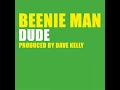 Dude (U.K. Radio Edit)