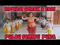 Download Lagu VIDEO INOVASI GERAK DAN LAGU PULAU SERIBU PURA