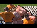 Daviess County Inmates Collect Roadside Litter