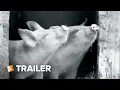 Download Lagu Gunda Trailer #1 (2021) | Movieclips Indie