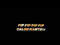 Download Lagu story w.a viral pip pip pip calon mantu Terbaru 2020
