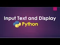 Python - User Input text and display