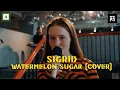 P3LIVE (2021): Sigrid - «Watermelon sugar» (cover)