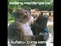 Lagu sedang mendengarkan kufaku cuma kamu ngakak