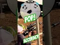 Download Lagu The sound of Accuracy | POP #fxairguns #slowed #slowoftheday #slowmotion