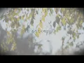 Download Lagu 【Panasonic Taiwan CM 広告曲】 あなたの明日は / 濱田道子 ( オフィシャルリリック動画 ) Nash music library