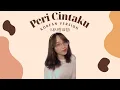 Download Lagu Peri Cintaku (Korean Ver) - 내 사랑 요정 cover