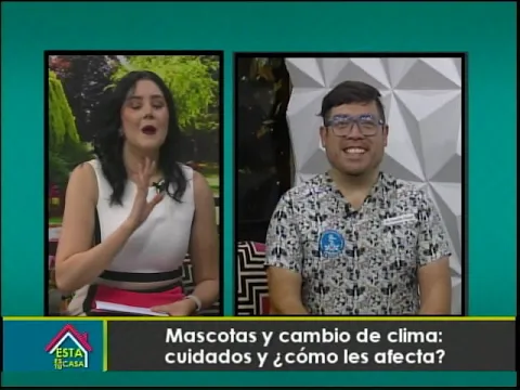 Mascotas y cambio de clima: cuidado y ¿Cómo les afecta?
