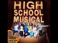 We're All In This Together - High School Musical Cast & Disney