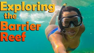 Exploring the 2nd Largest Barrier Reef – S7:E07