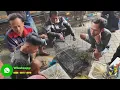 Download Lagu VIRAL KIOS BURUNG MURAH - CENDET - CIGUN - KOWUL - JALAK SUREN - PLECI - SOGON - RPM DLL
