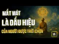 Download Lagu Người Được Trời Chọn Thường Đánh Mất Trước Khi Có Được | Thuật Học Cổ Nhân