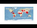 Bushfire animation with Matplotlib FuncAnimation function