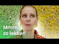 Download Lagu Hoe wordt snoep gemaakt? | Vragen van kinderen