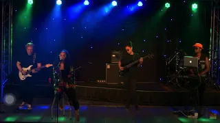 everything i wanted billie eilish unplugged sessions cover 