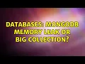 Databases mongodb memory leak or big collection