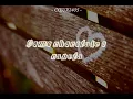 CANELA CNT 1 5 - DARVIIN
