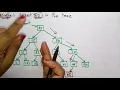 Binary Search Tree BST Insertion Algo Example Data Structures Lec-38 Bhanu Priya