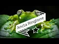 Download Lagu Frog Ringtone