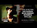Tego Calderón - Dominicana (Letra) | SONGBOOK