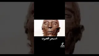 صوت فرعون الاصلي 