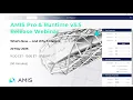 Webinar AMIS Pro Runtime v3 5 Release