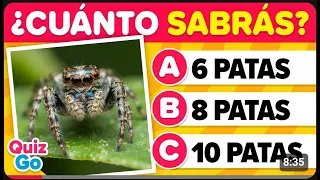 Preguntas que Todo el Mundo Debería Saber 🤓🧠 📚 - Nivel Fácil | Cultura General