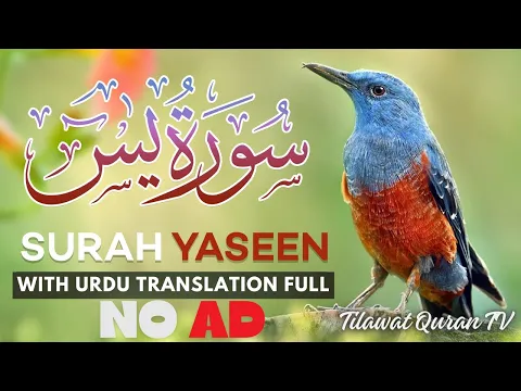Download MP3 Surah yasin | Ep - 00415| سورہ رحمٰن55 |Beautiful Recitation | Edited\u00267231 | tilawat quran TV