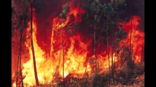 the hum vs the melody remix from dimitri vegas u0026 like mike