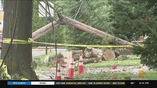 PSEG Long Island Considering No-Call Policy For Non Emergencies
