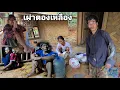 Download Lagu สงสารยายมีหัวอกผู้เป็นแม่ทำไมบ่าวส่งถึงทำได้เพียงนี้ คนป่า ตองเหลือง ຄົນປ່າ ຕອງເຫຼືອງ bn saolao 