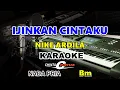 Download Lagu karaoke suara hati nike ardila nada pria Bm