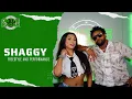 Download Lagu The Shaggy \