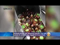 Thief Leaves At Least 100 Mini Bottles Of Crown Royal In Baltimore Woman s Car After Breaking Into I