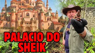 Sheik MILIONARIO viveu aqui e Desapareceu
