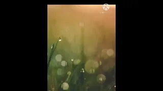 محمود السوهاجي يا صاحبي بتبعني طب ليه خلاصت كل الكلام يا سوهاجي دندنها