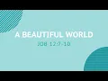 A Beautiful World - Daily Devotion