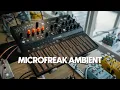 Download Lagu Microfreak Ambient Synth Music | Relaxing music for stress relief with a parrot on my shoulder