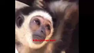 skinnyman twi comedy skinnyman funny video skinnymann