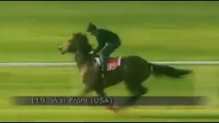 اسرع حصان في العالم روعه      دندنها