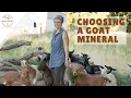The Best Minerals for Goat Health
