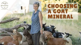 The Best Minerals for Goat Health