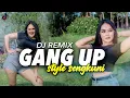 Dj GANG UP STYLE SENGKUNI ( ERTERUWET OFFICIAL )