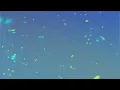 Sundance - Ennio Mano