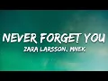 Lagu Zara Larsson, MNEK - Never Forget You (Lyrics)