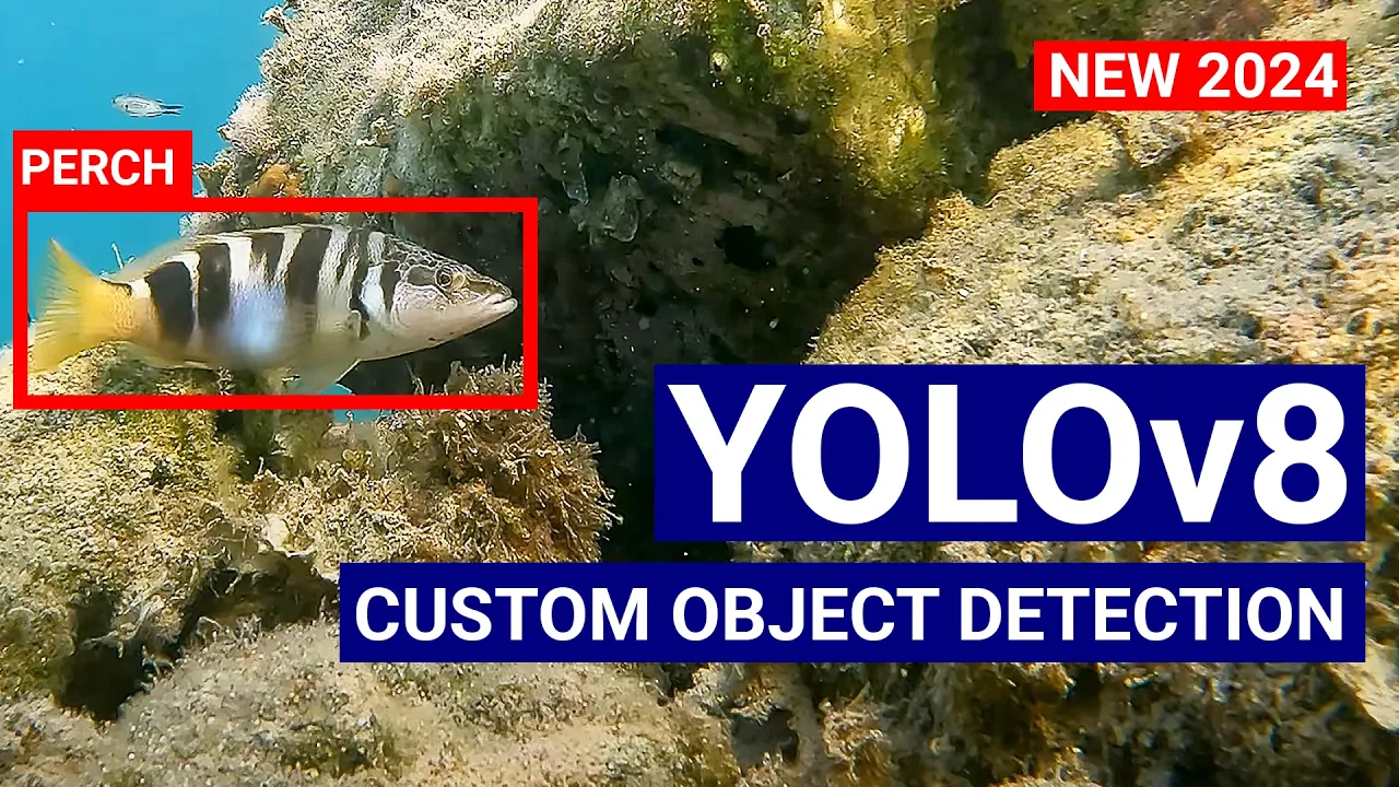 Train a YoloV8 model on Custom Dataset of Images