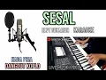 Download Lagu SESAL ELVY SUKAESIH KARAOKE DANGDUT KOPLO NADA PRIA