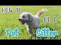 HOW TO BE A PET SITTER